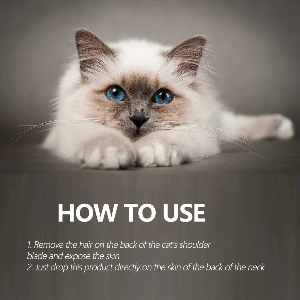 50ml Pet Anti-Flea Drops for Cats & Dogs