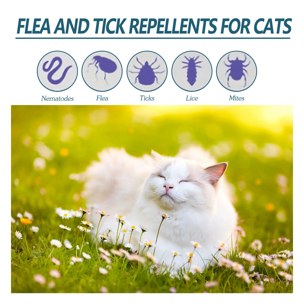 50ml Pet Anti-Flea Drops for Cats & Dogs