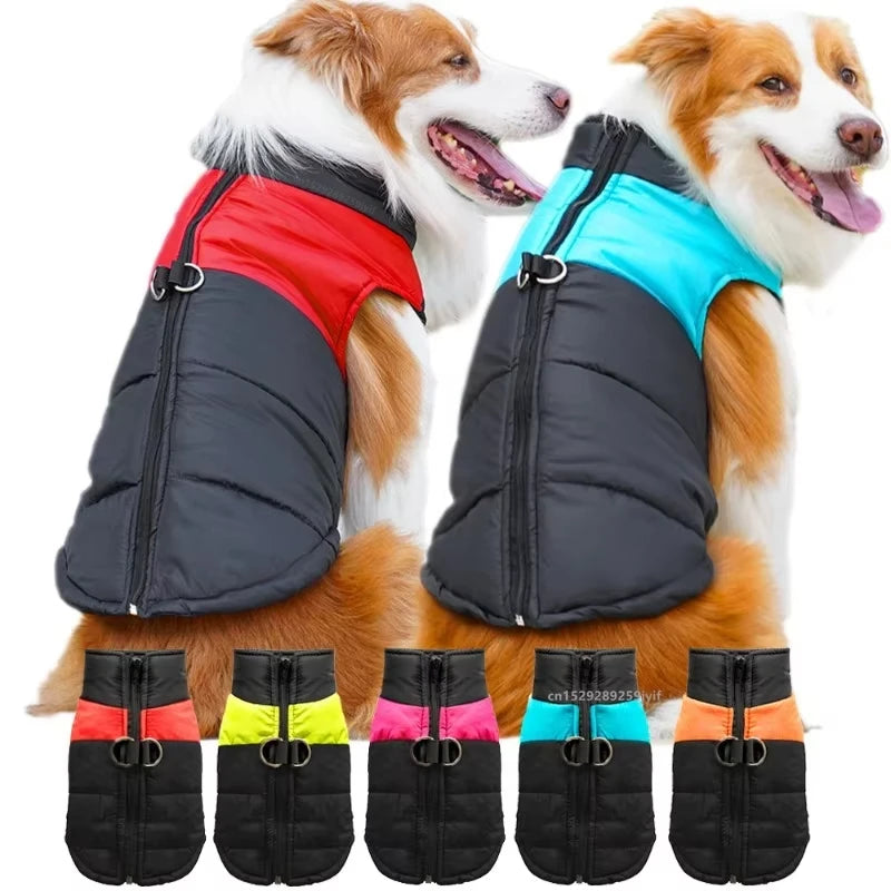 Waterproof Dog Coat with Warm Padding