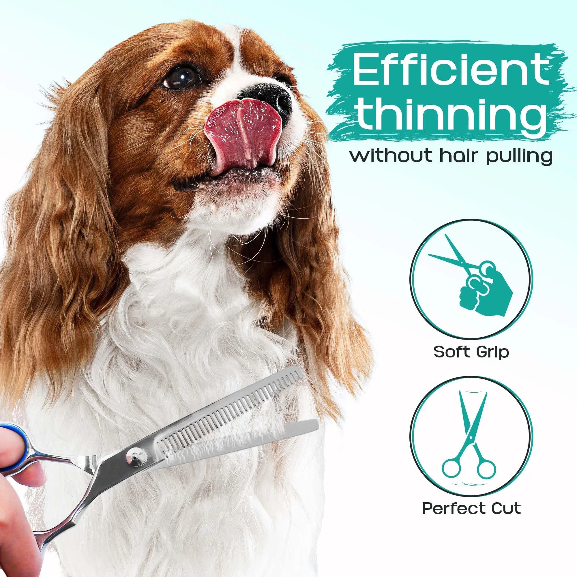 5 in 1 Grooming Scissors Set for Pets