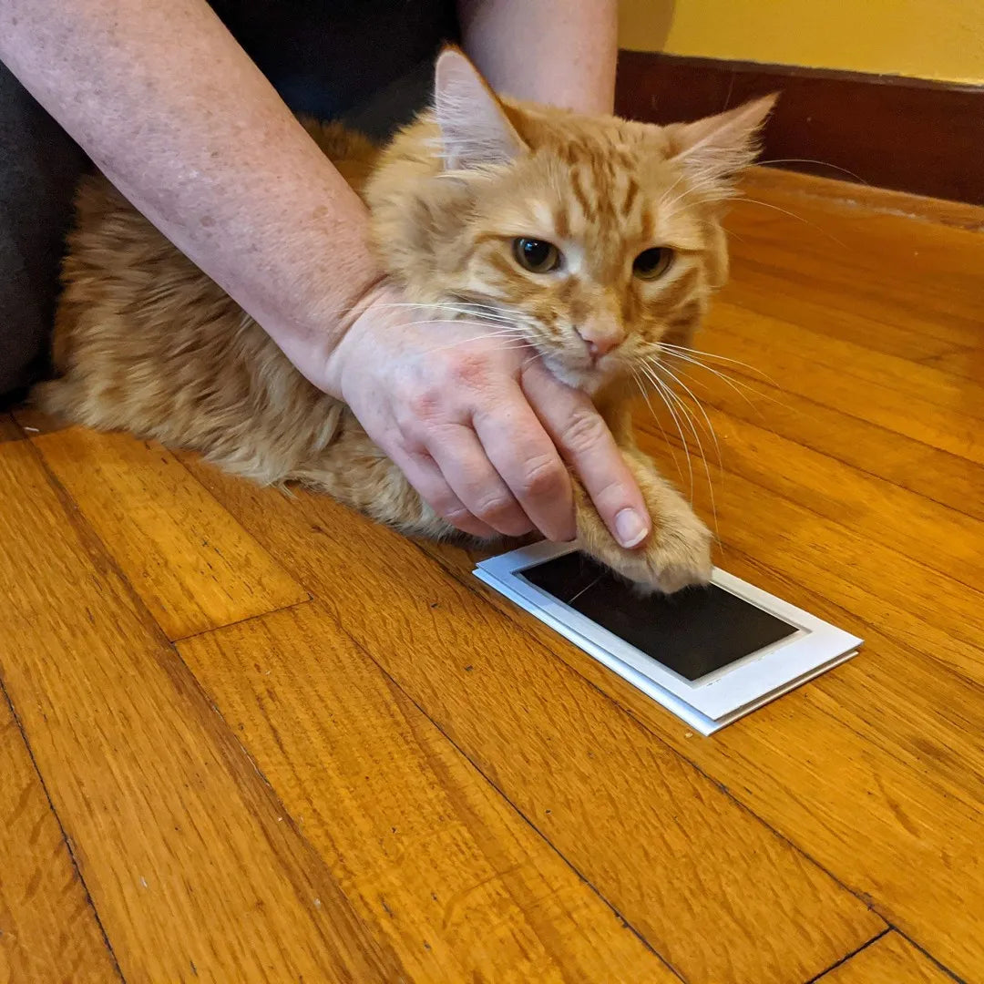 Paw Print Clean Touch Ink Pad & DIY Keepsake Kit — Capture Your Pet's Paws Forever!