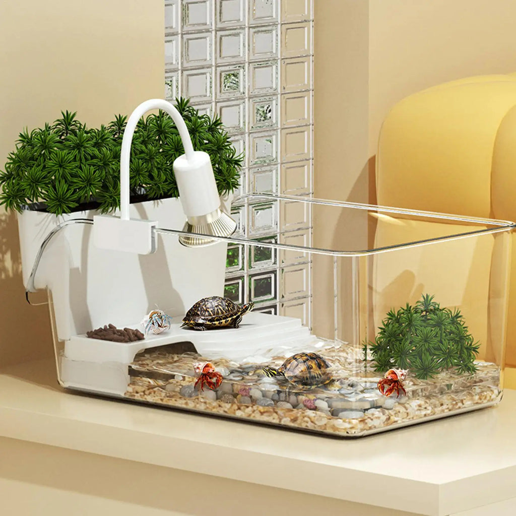 Turtle Tank: Small Transparent Terrarium