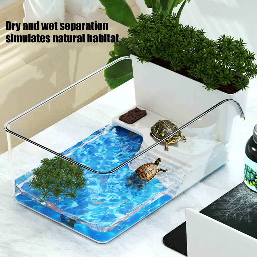 Turtle Tank: Small Transparent Terrarium