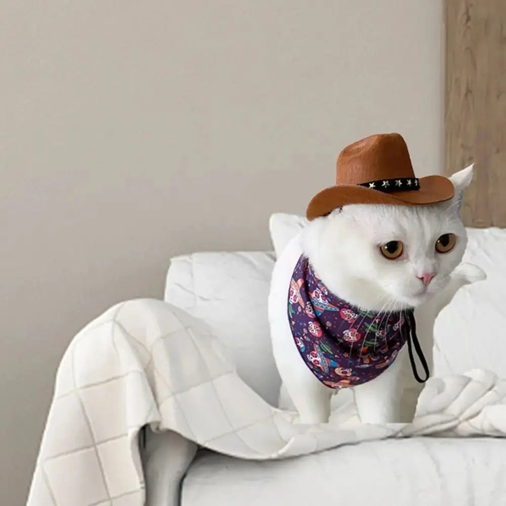 Pet Cowboy Hat - Adjustable, Small Dog & Cat