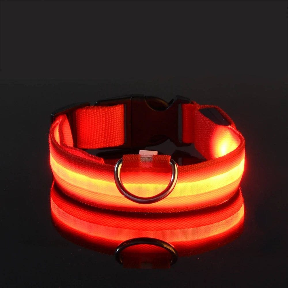 LED Glow-in-the-Dark Dog Leash — Light Up Your Night Walks in Style!