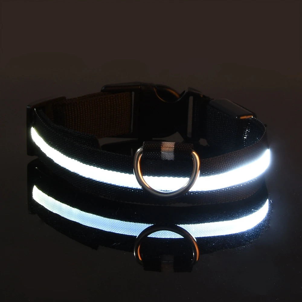 LED Glow-in-the-Dark Dog Leash — Light Up Your Night Walks in Style!