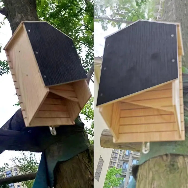 Outside Bat Habitat House – Reusable Wood Shelter