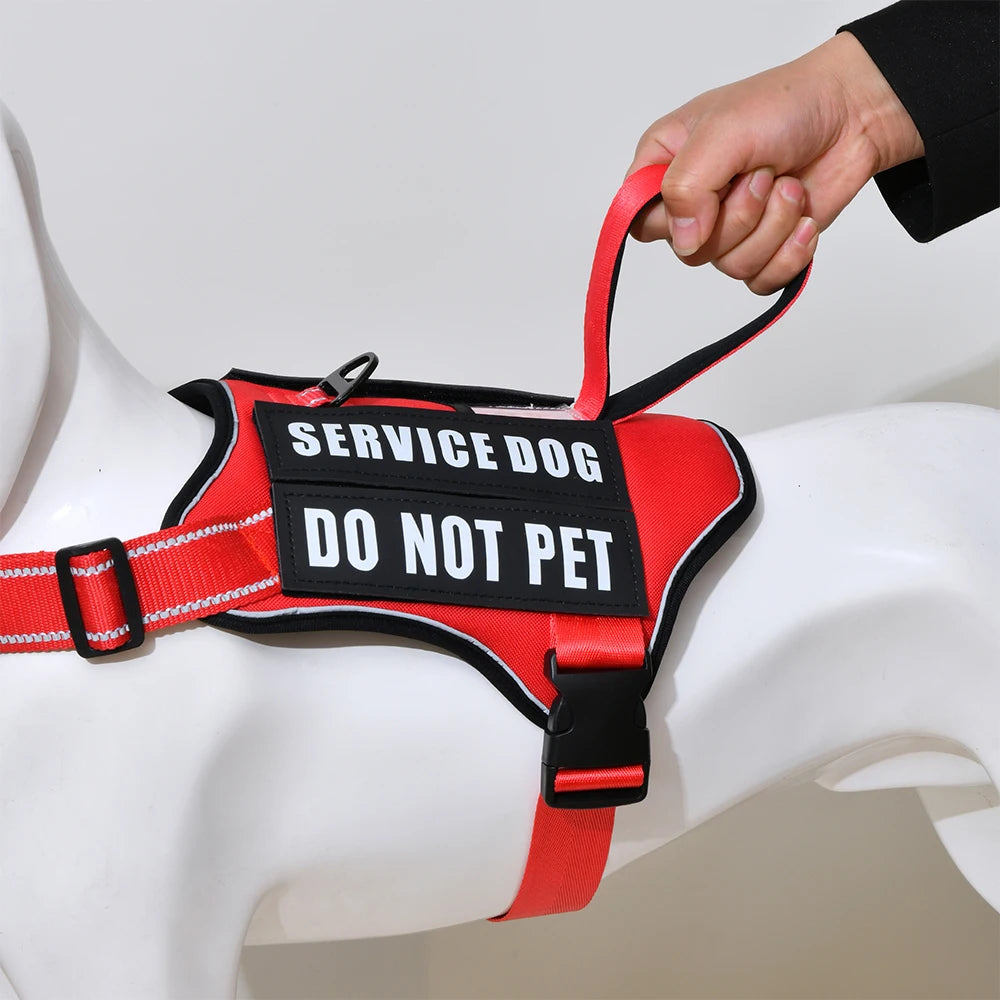 Nlyon No Pull Dog Harness with Patches
