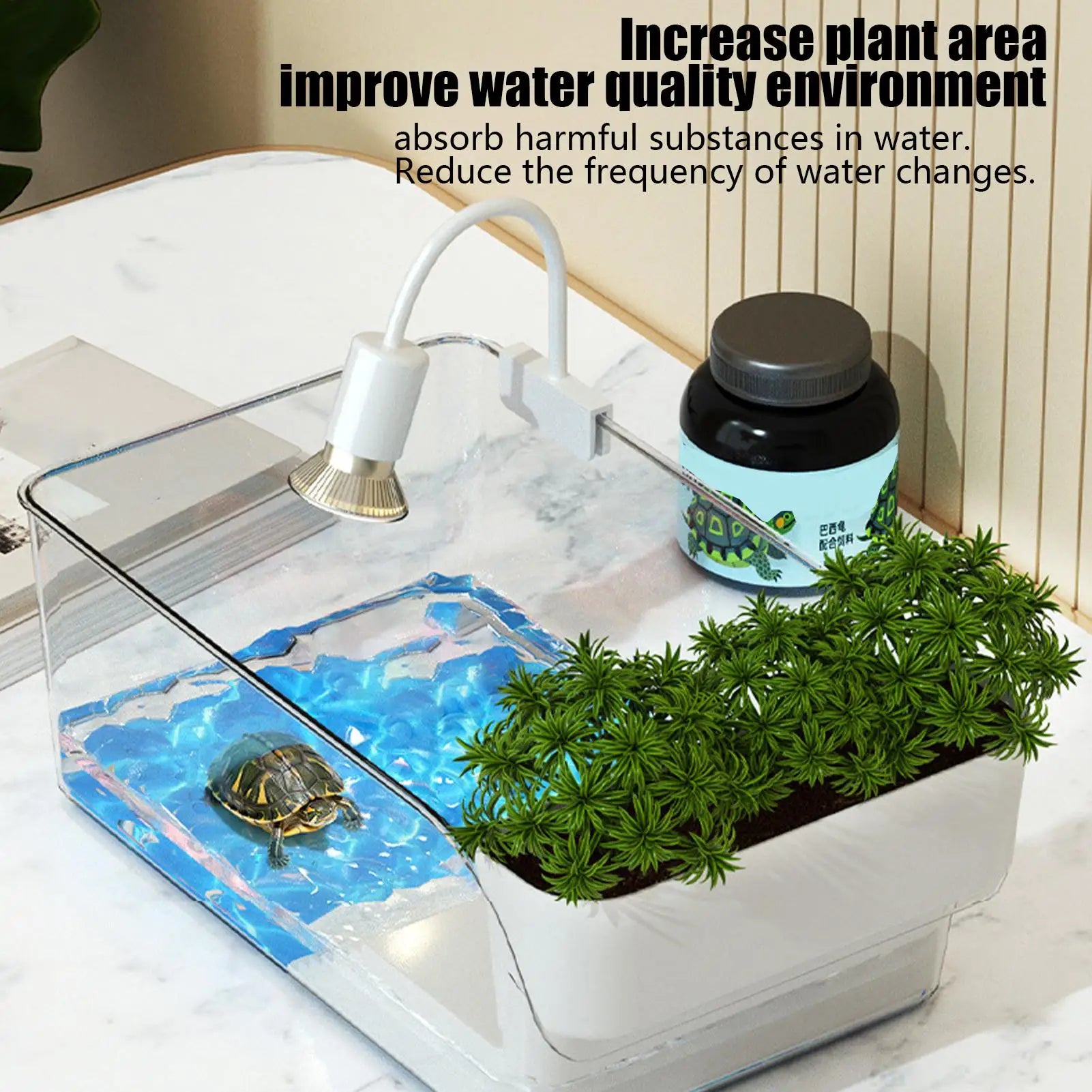 Turtle Tank: Small Transparent Terrarium
