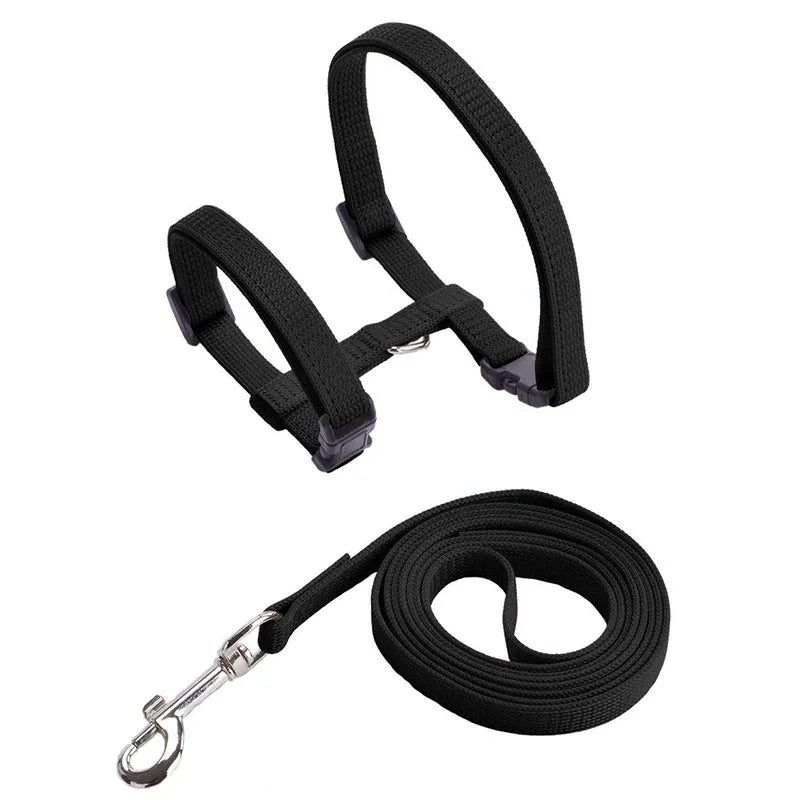 Cat & Bunny Adjustable Harness Set