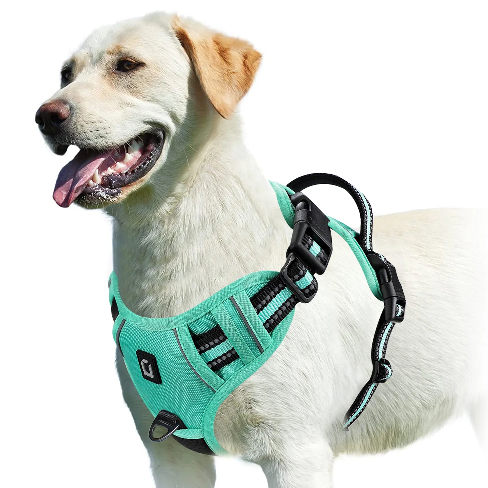 No-Pull Dog Harness — Adjustable Soft Padded Vest with Easy Control Handle!
