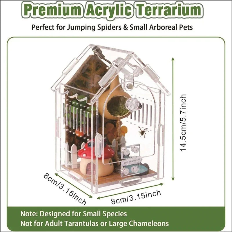 Acrylic Mini Pet Terrarium (Desk Accessory)