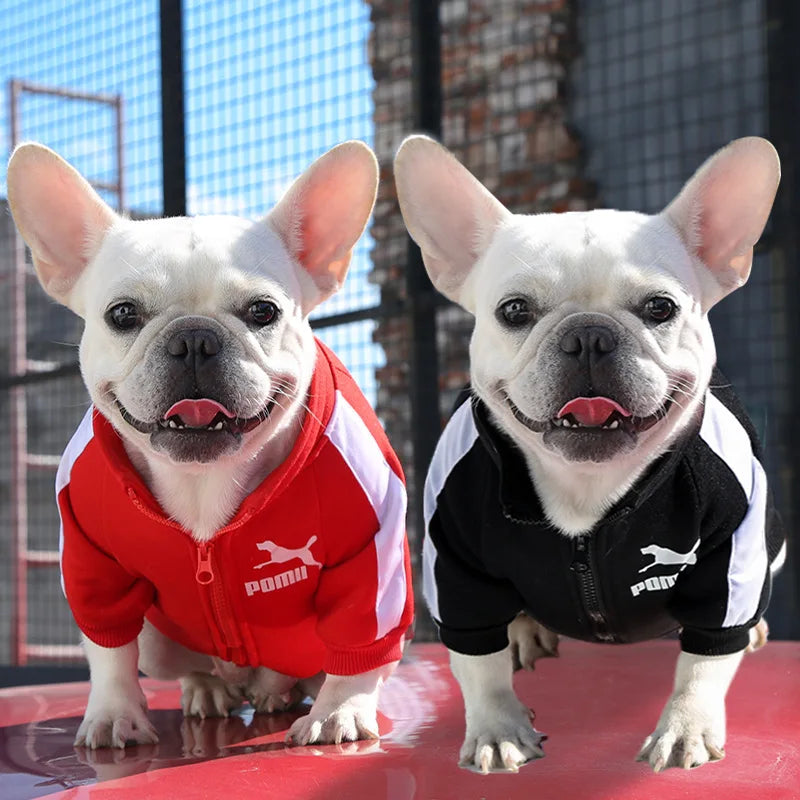 Baseball Dog Jacket (S-4XL)