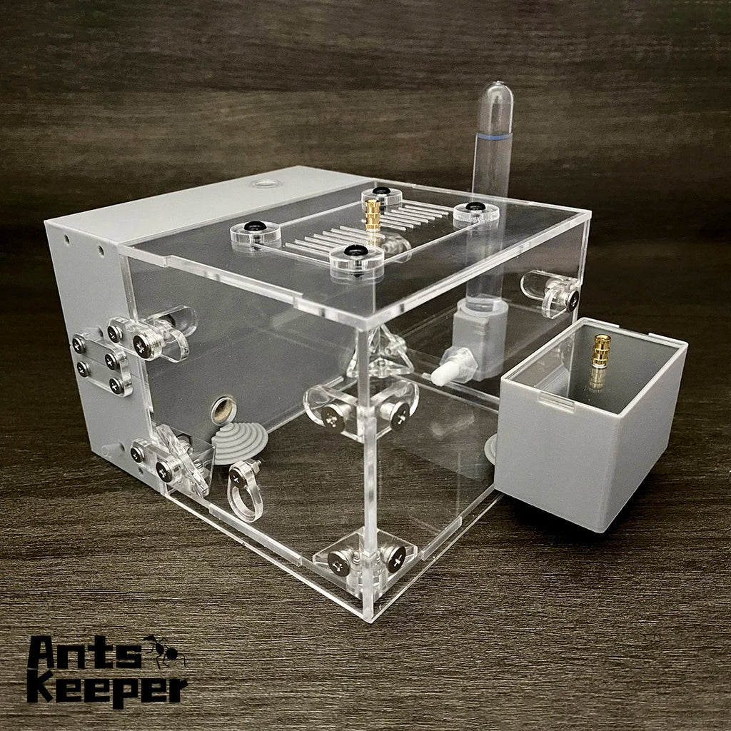Valley Ant Nest Habitat — Modular Formicarium for Myrmecocystus & Most Ant Species!