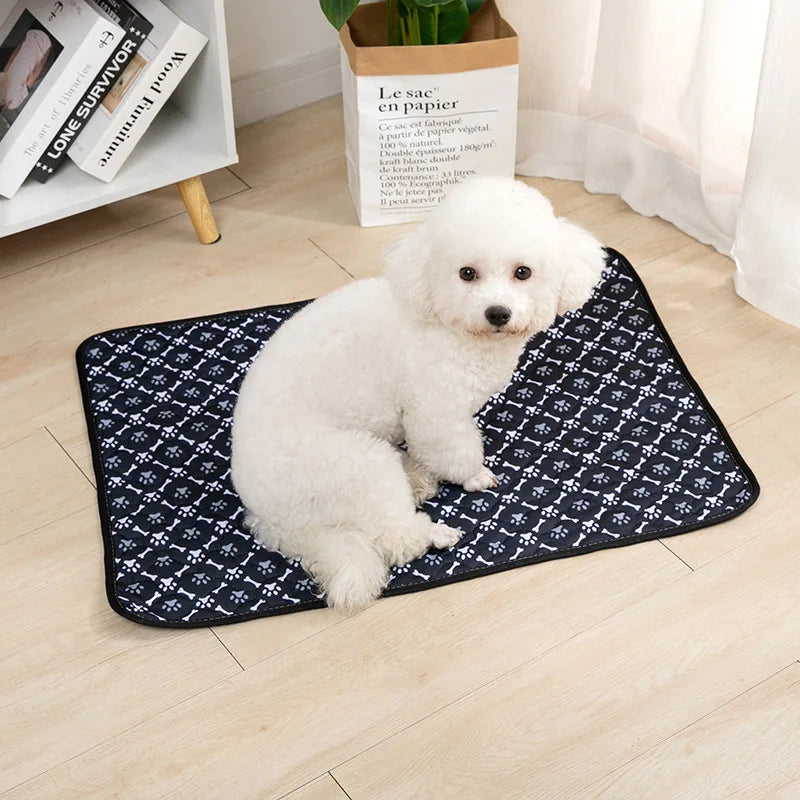 Reusable Washable Dog Pee Pad & Training Mat — Absorbent, Eco-Friendly & Multi-Use!