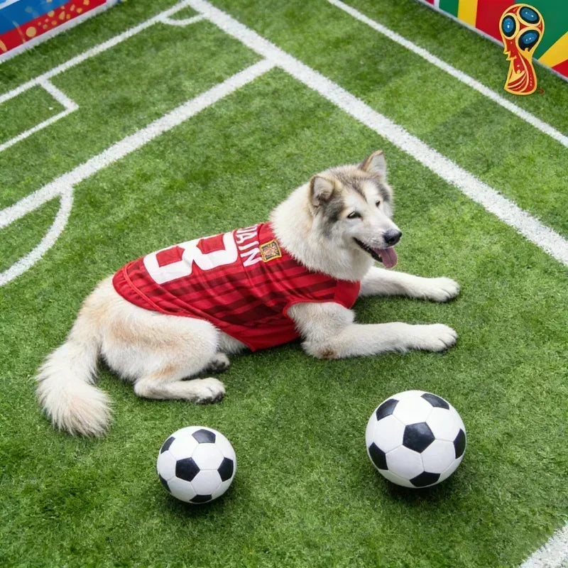 Breathable Mesh Pet Football Jersey — World Cup National Team Themed T-Shirt Vest for Dogs & Cats!