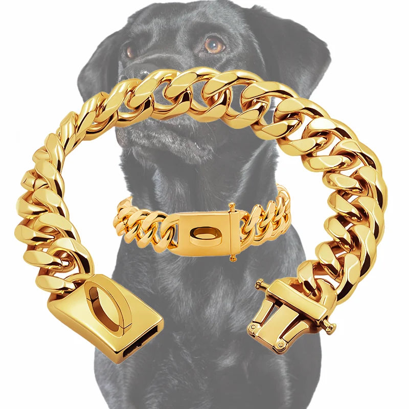 Gold Stainless Steel Dog Collar 19mm Wide