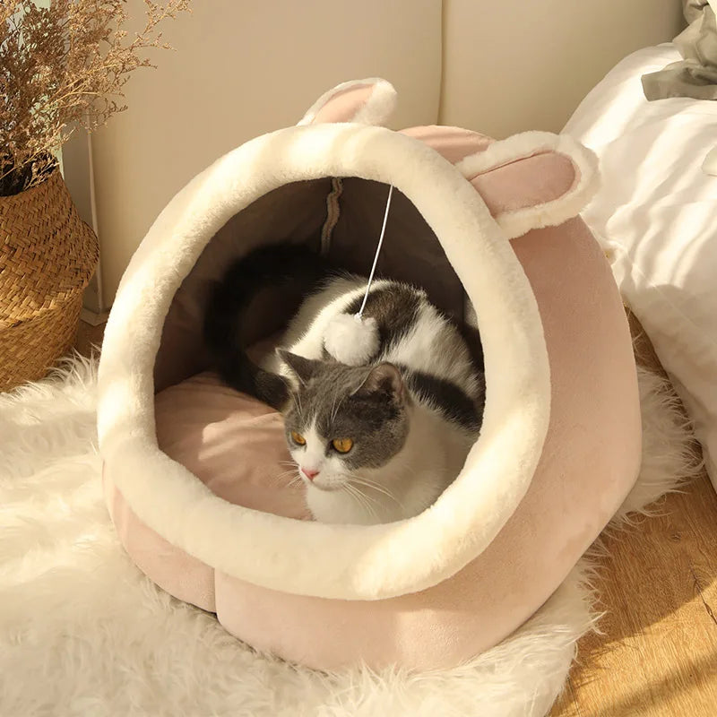 Deep Sleep Cartoon Cave Pet Bed — Foldable, Washable & Cozy for Cats & Small Dogs!