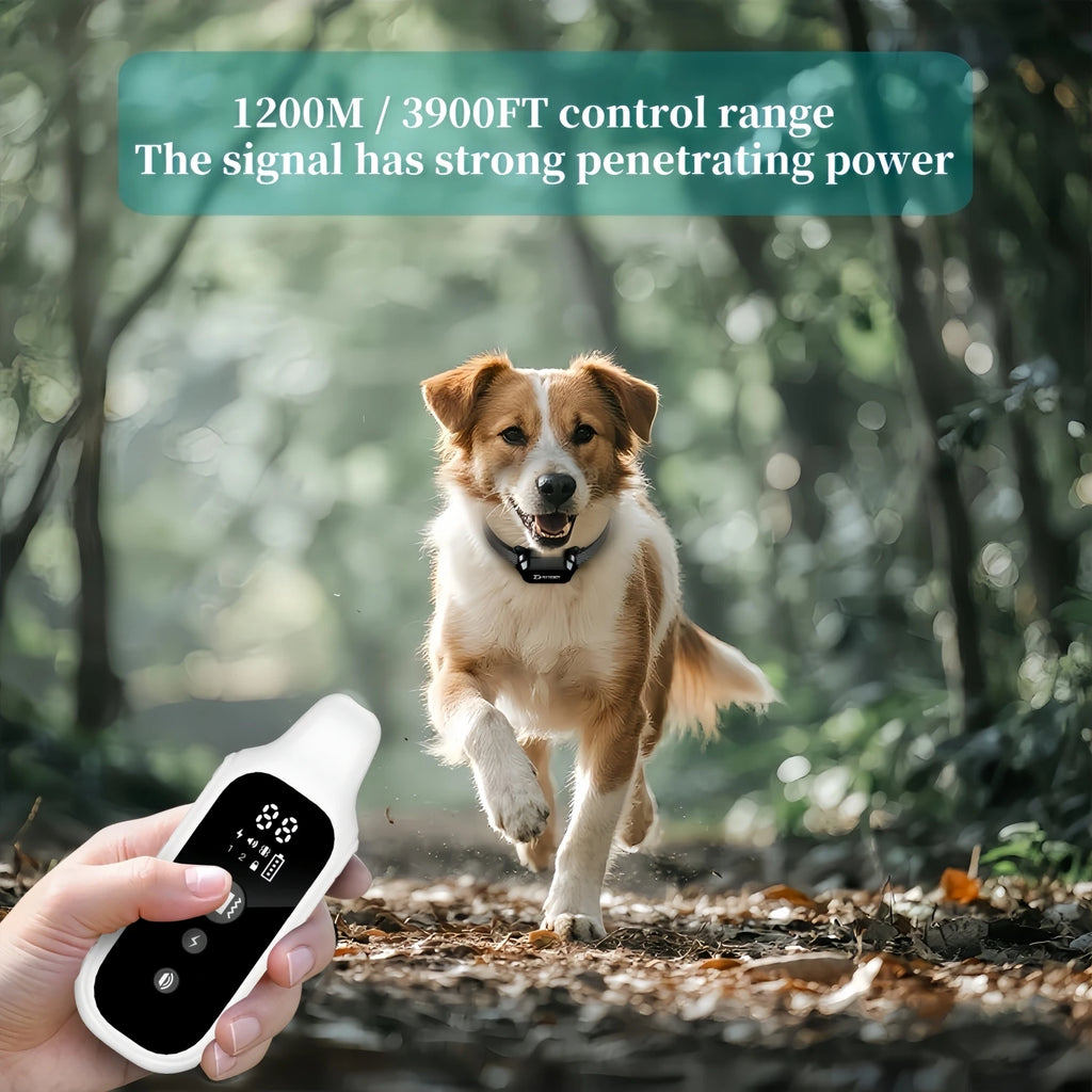 800m Rechargeable Dog Training Collar — Shock, Vibration & Sound with LCD Remote!