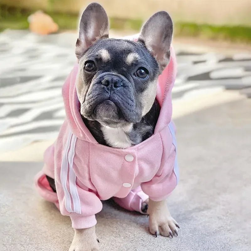 Pet Dog Costume Jumpsuit (Small/Medium)