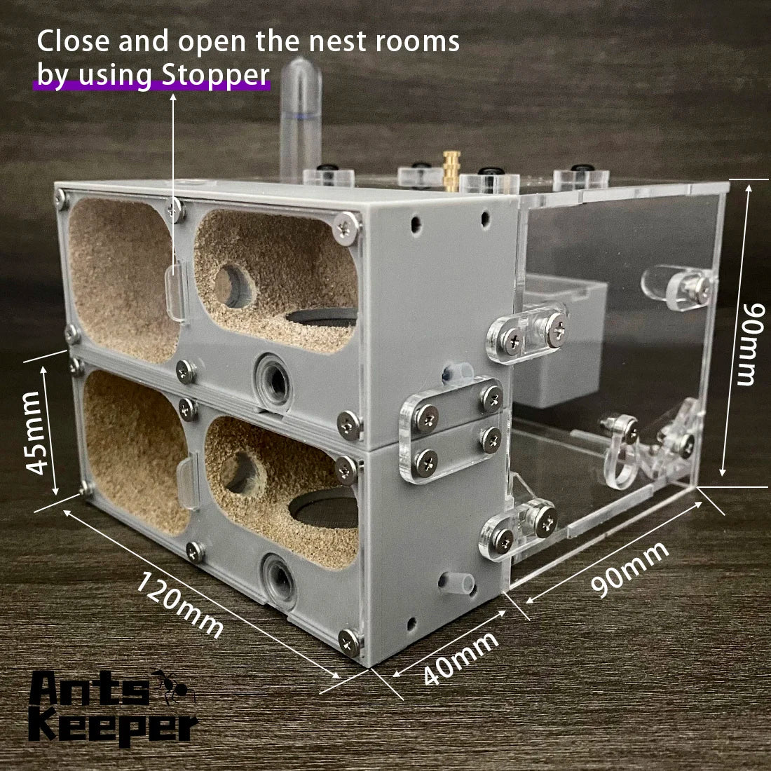 Valley Ant Nest Habitat — Modular Formicarium for Myrmecocystus & Most Ant Species!