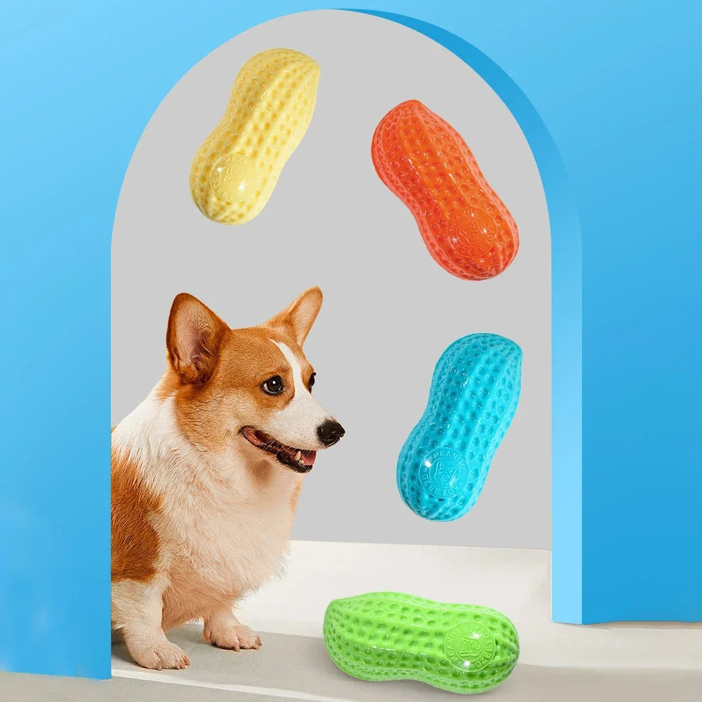 Pet Peanut Toy - TPR Chew for Dogs