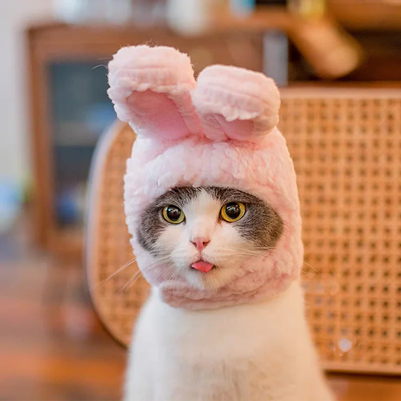 Cute Bear Hooded Pet Hat