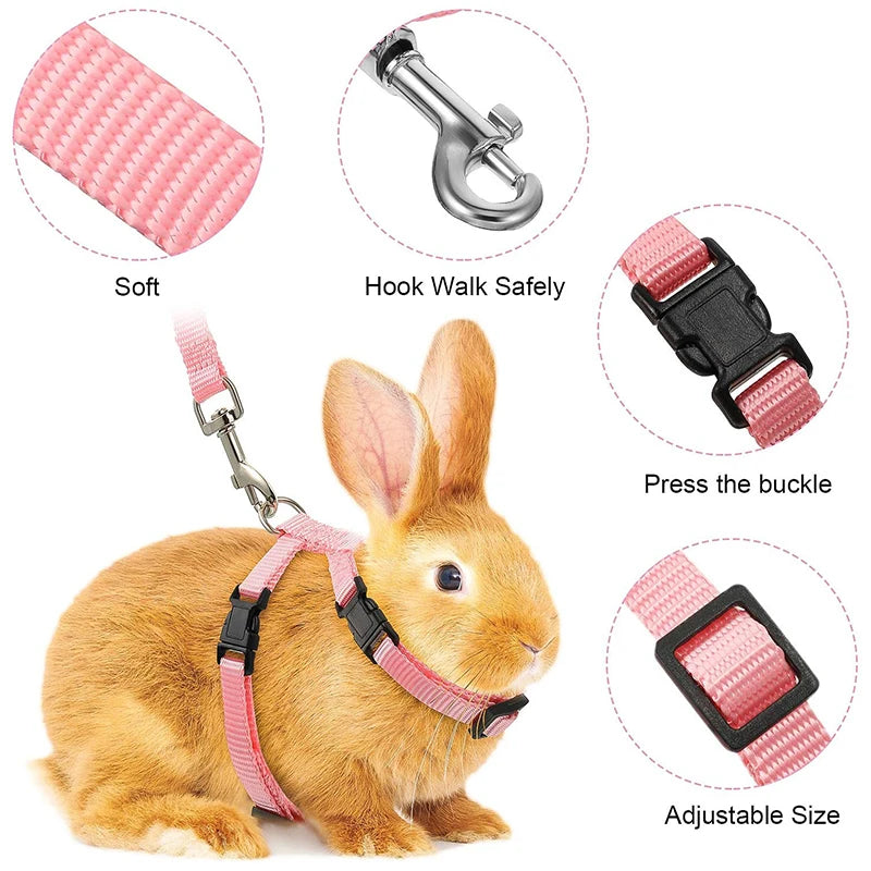 Cat Bunny Harness Set