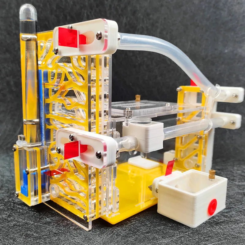 T Design DIY Ant Farm with Feeding Area