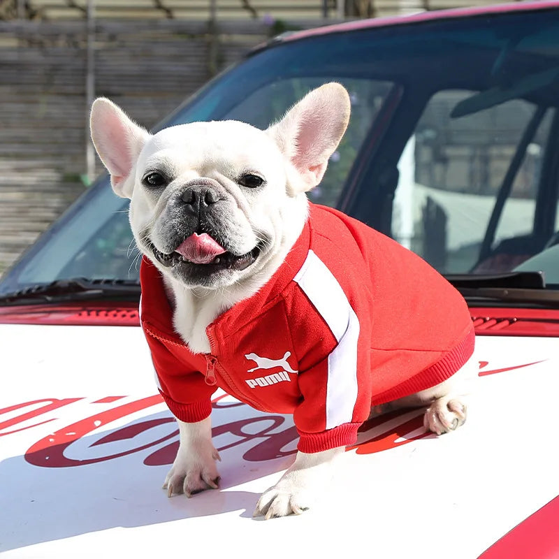 Baseball Dog Jacket (S-4XL)