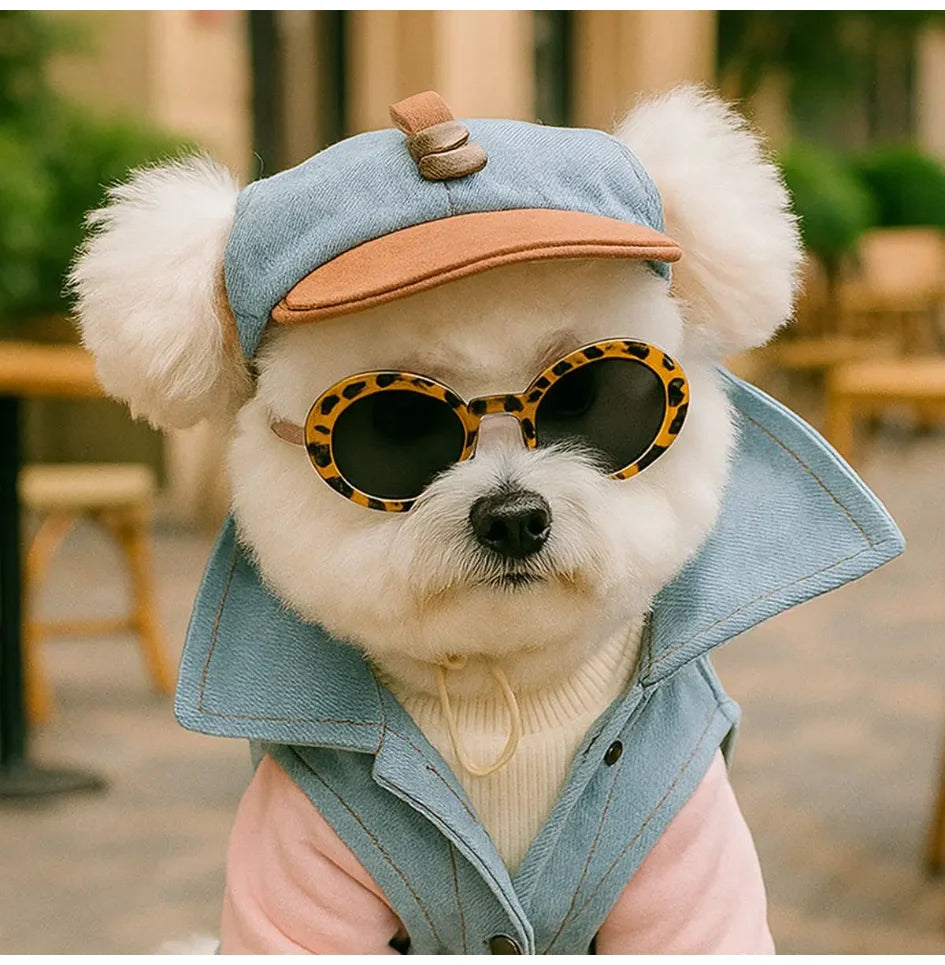 Two-Piece Pet Sun Hat & Sunglasses Set