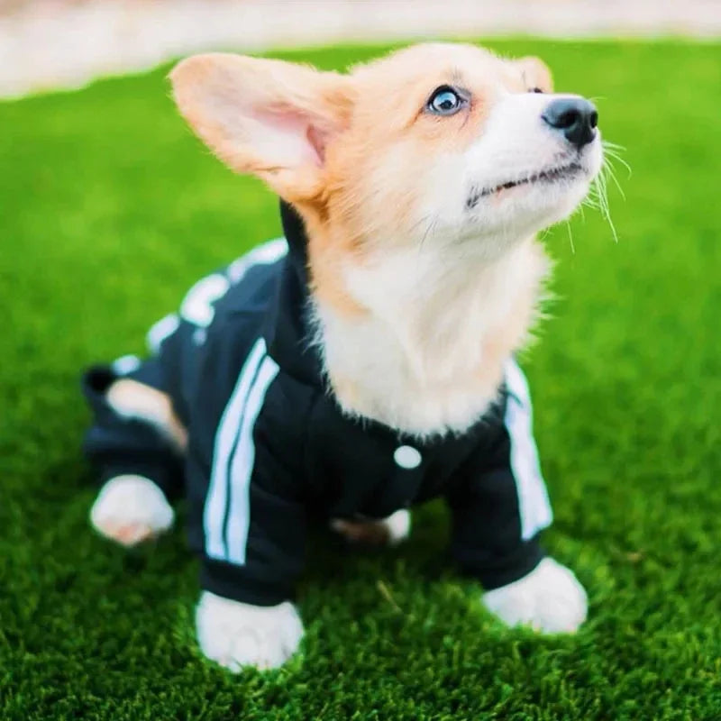 Pet Clothes Jumpsuit for Small Dogs