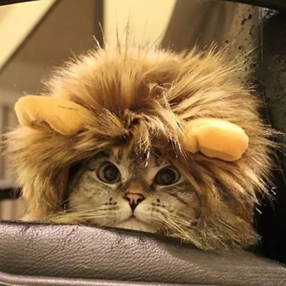 Lion Mane Wig for Cats & Small Dogs
