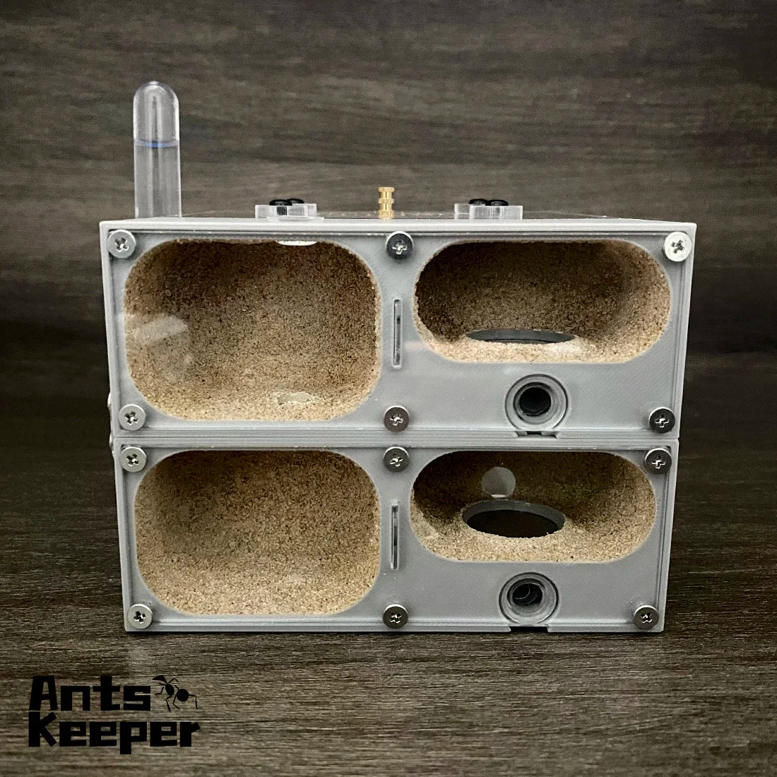 Valley Ant Nest Habitat — Modular Formicarium for Myrmecocystus & Most Ant Species!