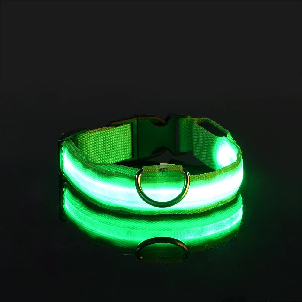 LED Glow-in-the-Dark Dog Leash — Light Up Your Night Walks in Style!