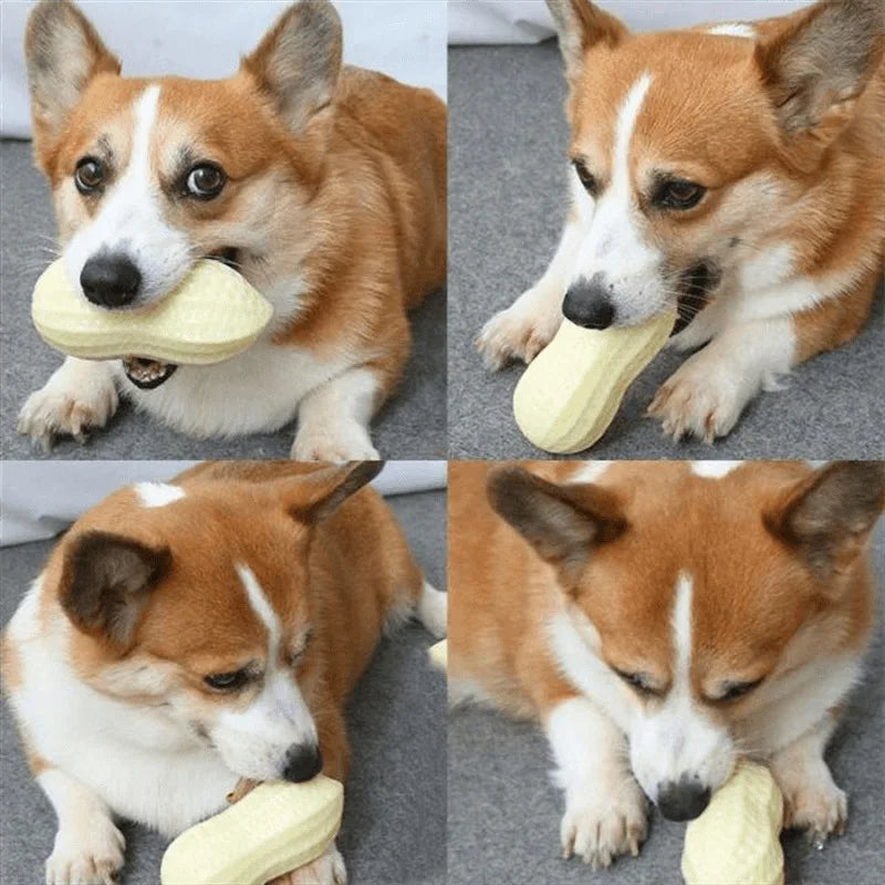 Pet Peanut Toy - TPR Chew for Dogs