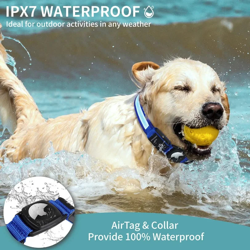Apple AirTag LED Dog Collar by The Paw Prime