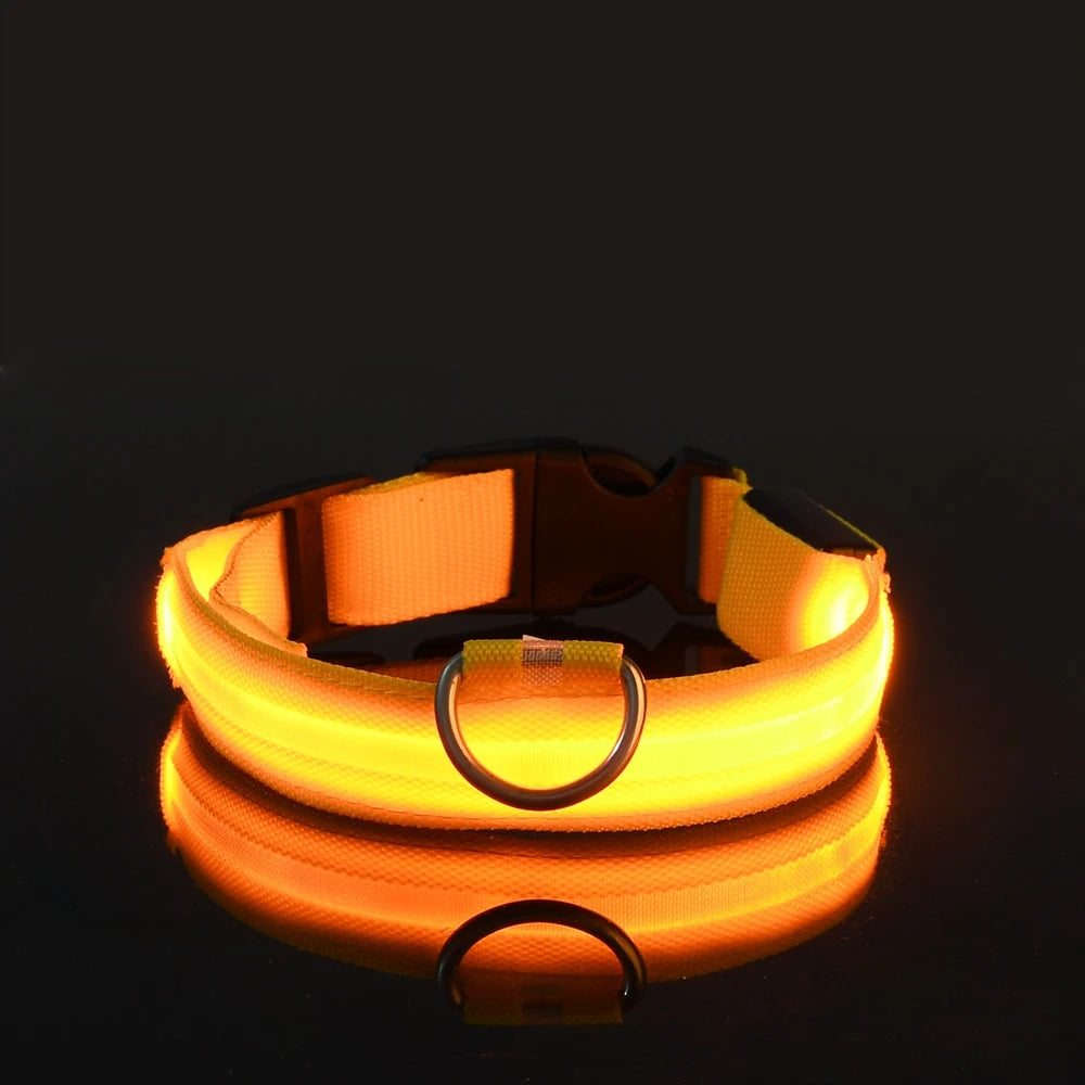 LED Glow-in-the-Dark Dog Leash — Light Up Your Night Walks in Style!