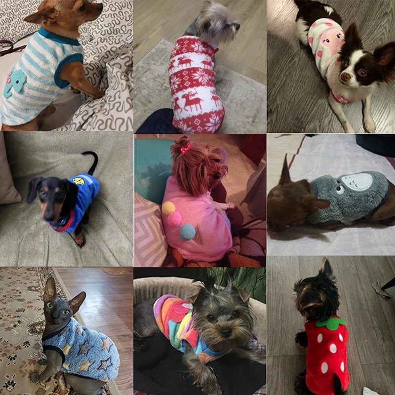 Cute Dog Winter Vest for Small Dogs & Cats