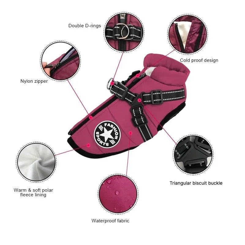 Large Dog Jacket with Harness