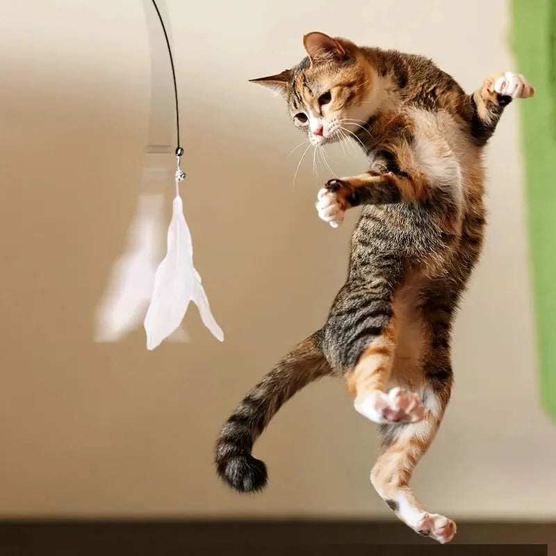Interactive Feather & Bell Cat Teaser Wand Toy — Suction Cup Pole for Hands-Free Fun!