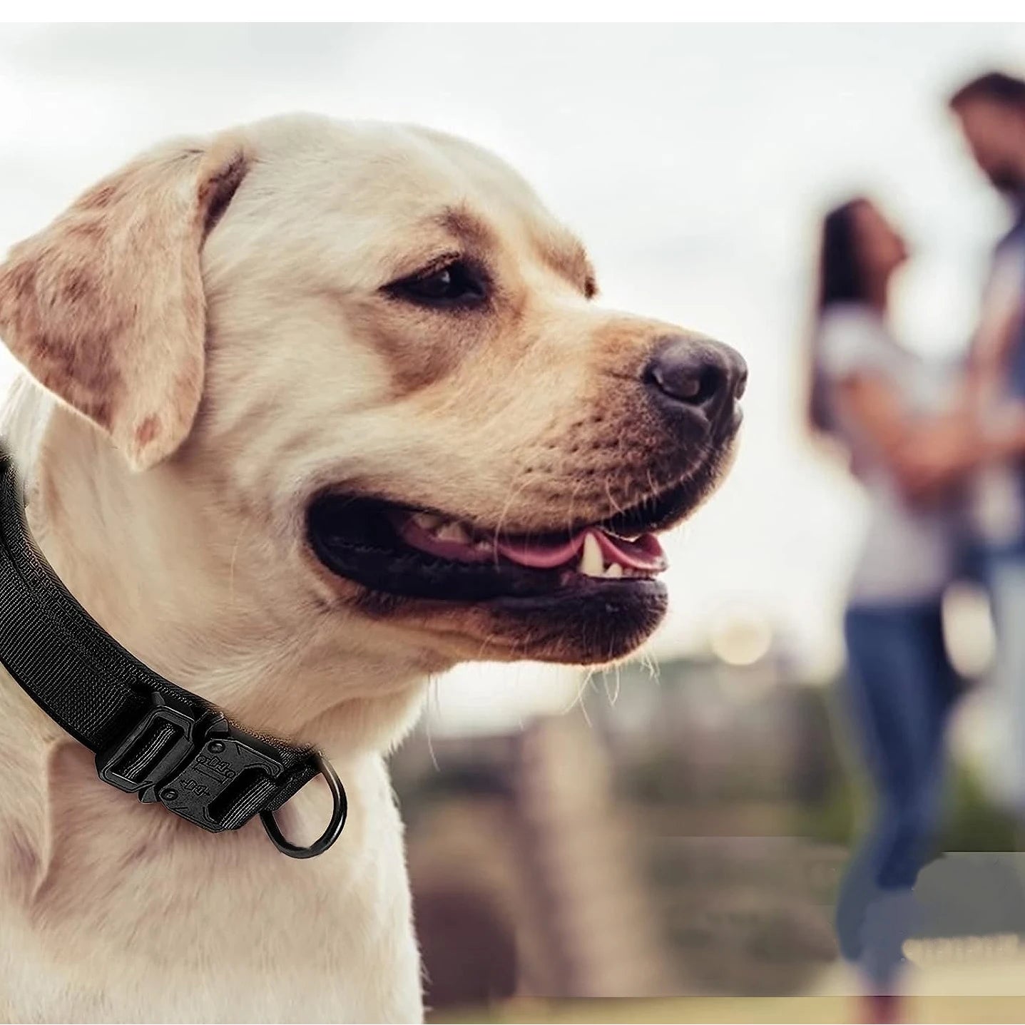 Tactical Dog Collar & Leash Set with Handle