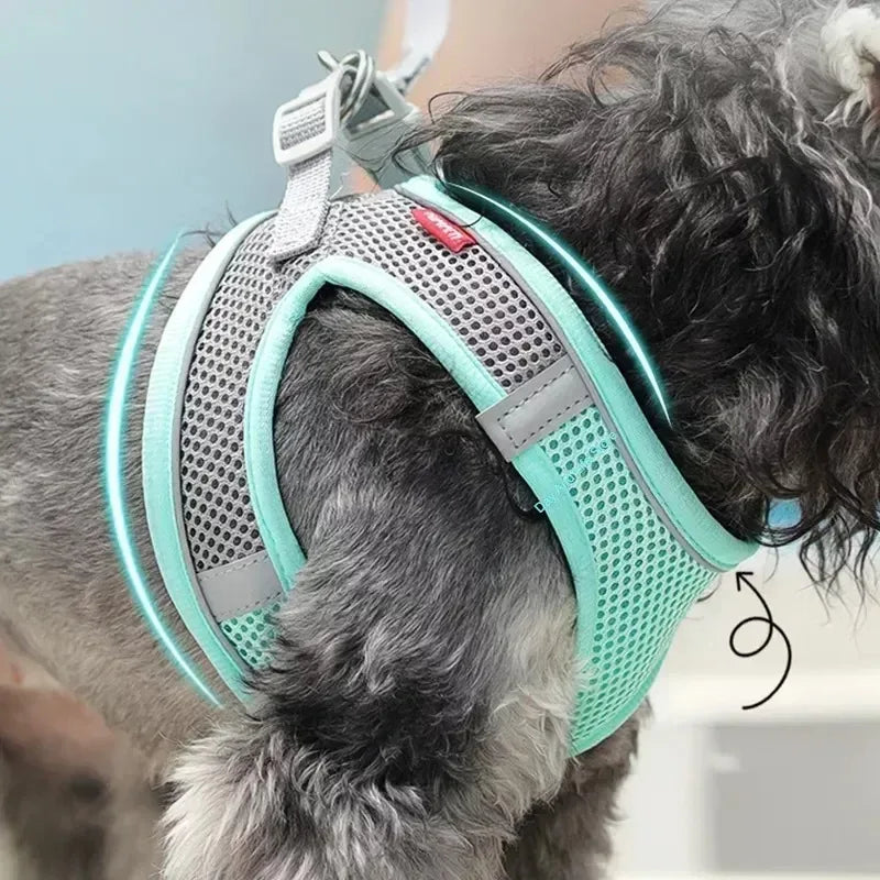 Adjustable Puppy & Cat Harness Vest Set with Leash — Perfect for Small Dogs, Chihuahuas & French Bulldogs!