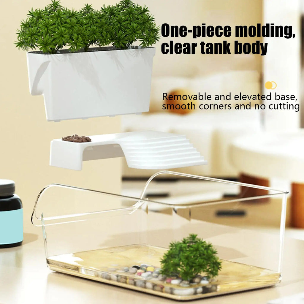 Turtle Tank: Small Transparent Terrarium