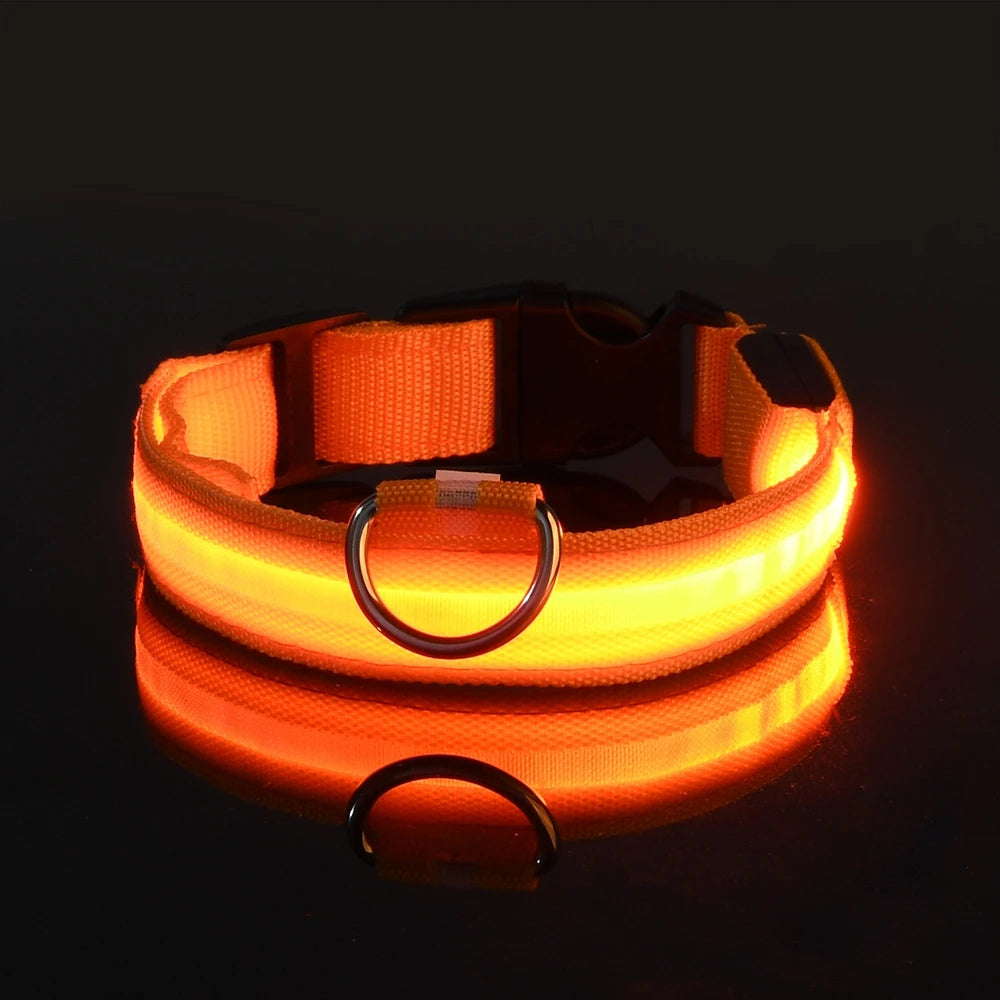 LED Glow-in-the-Dark Dog Leash — Light Up Your Night Walks in Style!