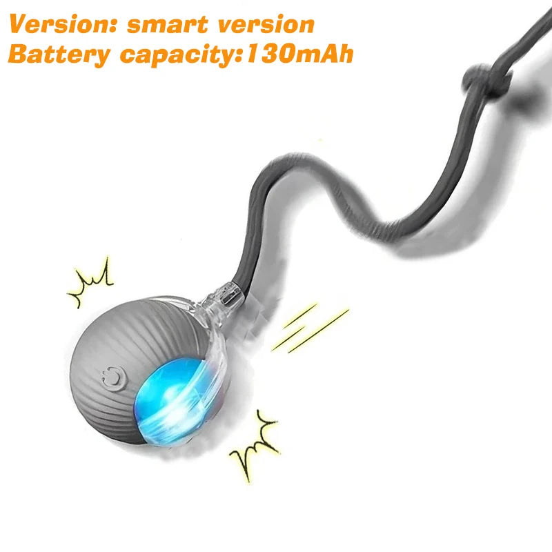 Rechargeable Interactive Dog Ball Toy — Auto-Rolling Fun for Bored Pups!