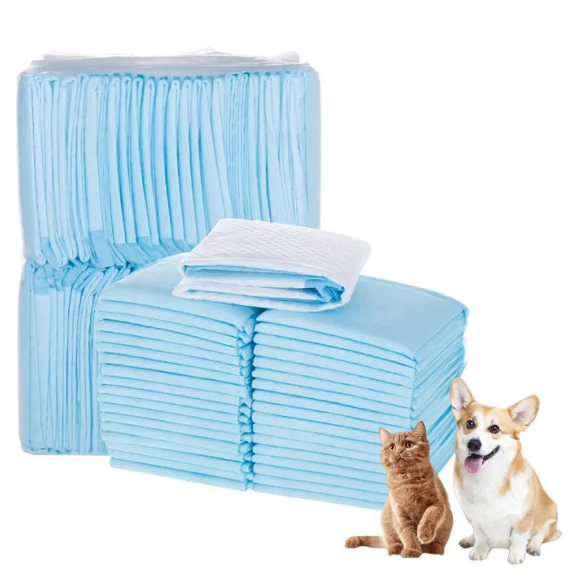 Absorbent Dog Diapers & Training Pads