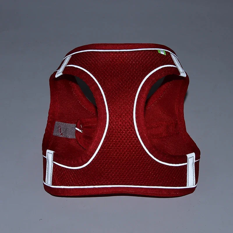 Adjustable Puppy & Cat Harness Vest Set with Leash — Perfect for Small Dogs, Chihuahuas & French Bulldogs!