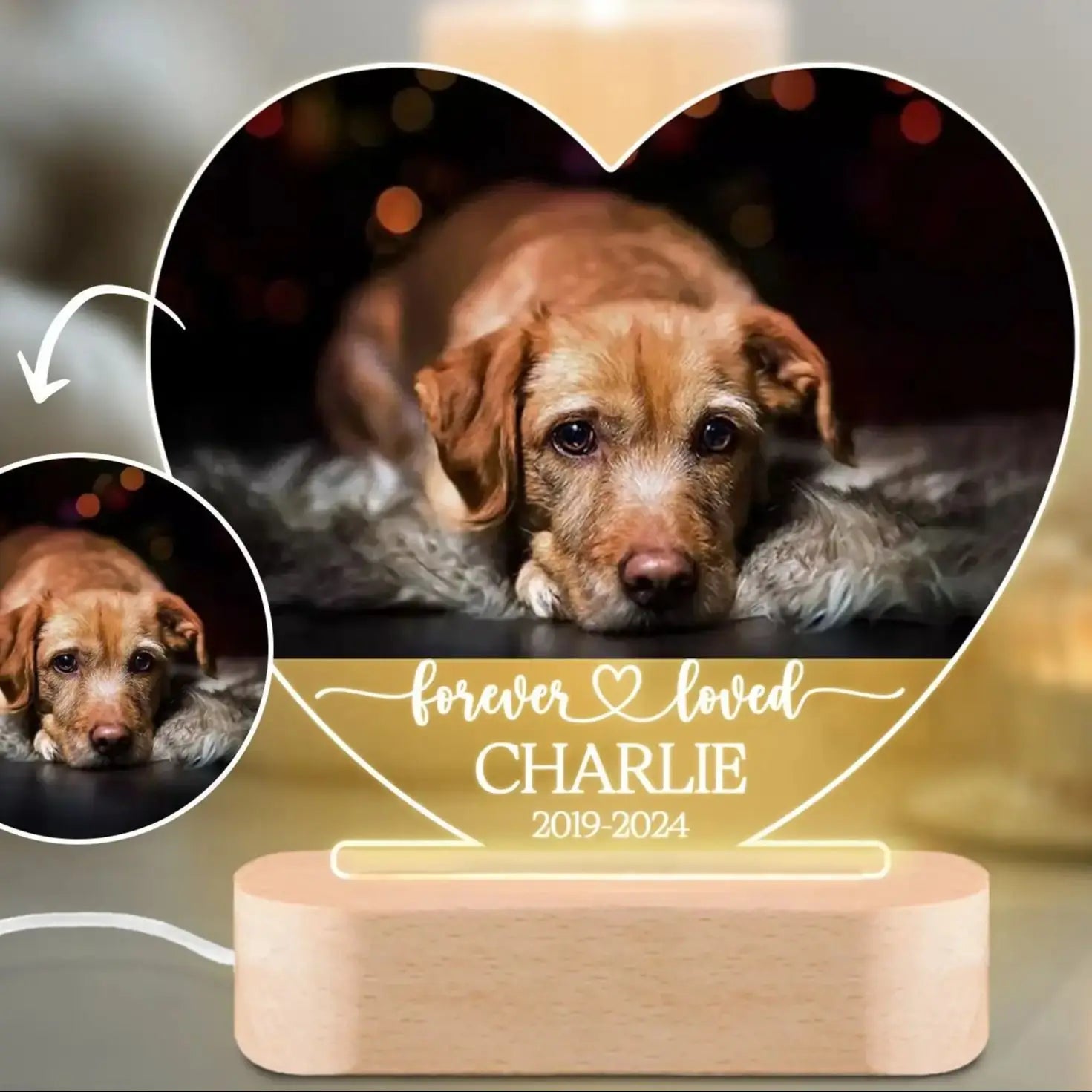 Custom Dog Photo Night Light Gift