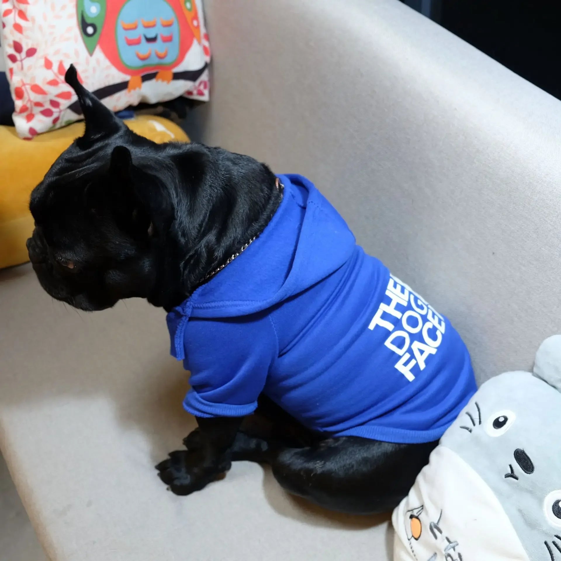 Pet Dog Hoodies for Spring/Autumn (French Bulldog & Labrador)